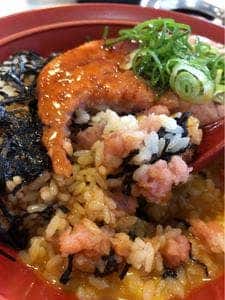 すき家 217号佐伯店