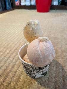 PICARO EIS