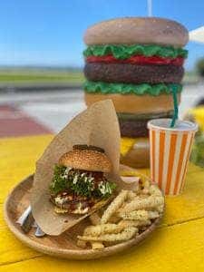 氾濫バーガー チムフガス