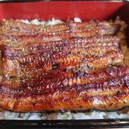 桜新町うなぎ川信