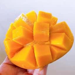 伊豆フルーツパーク