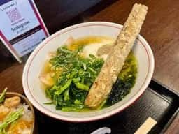 はかたこぶし
