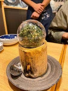 鮨 酒 肴 杉玉 笹塚