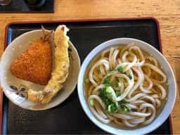 うつ海うどん