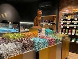 CACAOCAT 半田店
