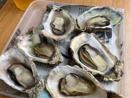 かき小屋 龍明丸