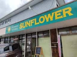 SUN FLOWER