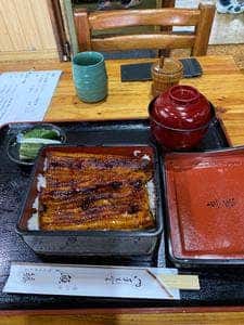 魚藤