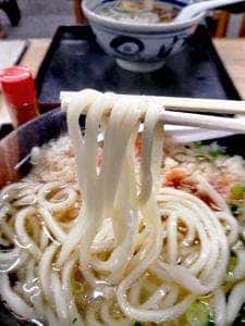 讃岐手打ちうどん わだち