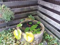 自家焙煎珈琲 神音