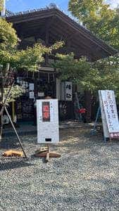 陣弥地鶏 お狩場焼