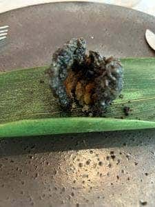 IL GHIOTTONE 京都店