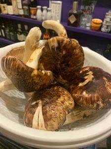 きになる嫁 武道館