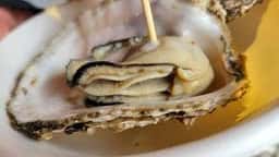 奥能登 山海市場