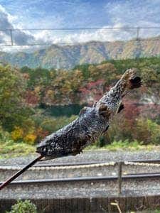 大瀞ドライブイン
