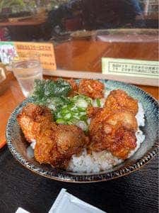 大分からあげ とらい