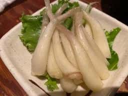 赤瓦