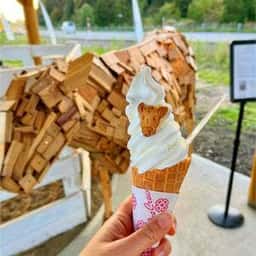加勢牧場 わしま本店