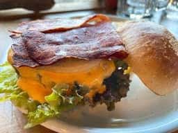 ジョシュアツリー