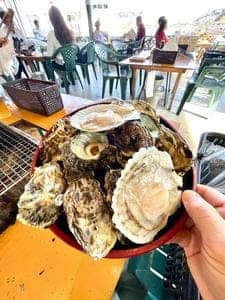 かき小屋 in ベイサイド