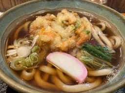 手打ちうどん はたの