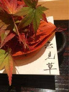 老松 ひさ乃