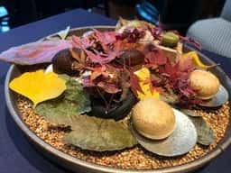 HaRe Gastronomia