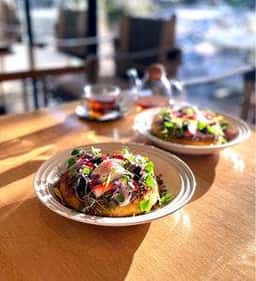 TOOTH TOOTH GARDEN RESTAURANT