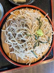 藤の家