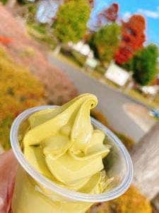 ベジタブルカフェ 花農丘公園