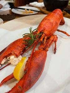 Shrimps