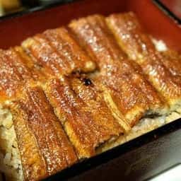 本家柴藤