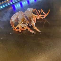 和洋鉄板 菜乃華