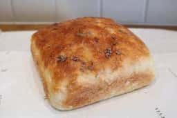 PANEVIA