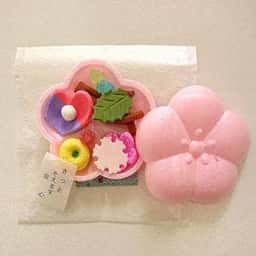 御菓子調進所 山海堂