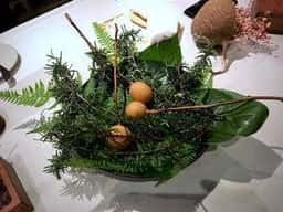 仏蘭西料理 ラ・テラス