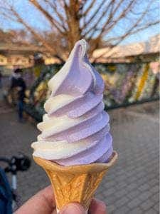 あしかがフラワーパーク フードテラス