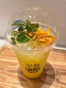 発酵 CALPIS PARLOR