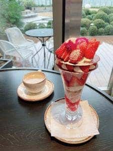 DRAWING HOUSE OF HIBIYA