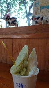 ミルキーウェイファーム