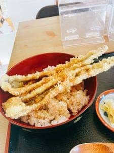 黒潮