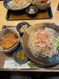 おそばだ うどんだ 越前