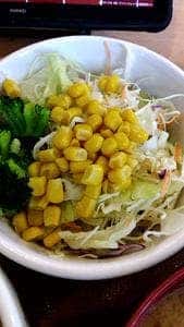 すき家 175号平野芝崎店
