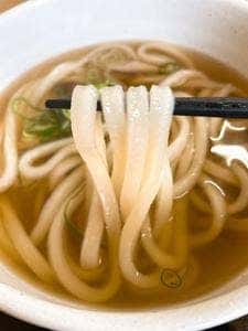 本格手打ち讃岐うどん ふうが