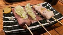 SHIBAURA HORUMON HANARE