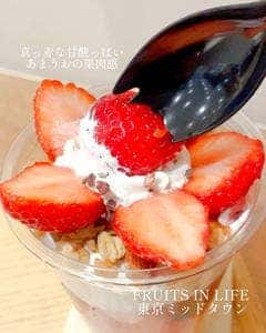 FRUITS IN LIFE