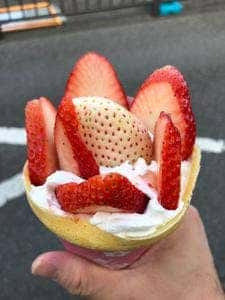 ストロベリー工房Hosoya いちご三兄弟