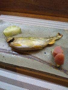 酒菜 あごら