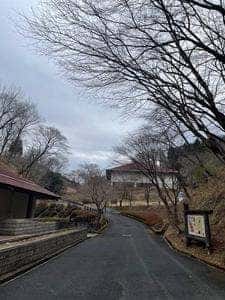 和紙とお食事の店 紙の花
