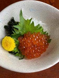 札幌かに本家豊田城店